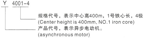 西安泰富西玛Y系列(H355-1000)高压YJTG-160M-6A/7.5KW三相异步电机型号说明