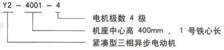 YR系列(H355-1000)高压YJTG-160M-6A/7.5KW三相异步电机西安西玛电机型号说明